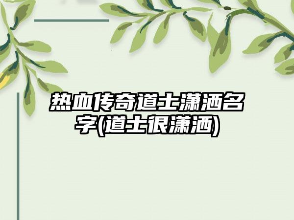 热血传奇道士潇洒名字(道士很潇洒)