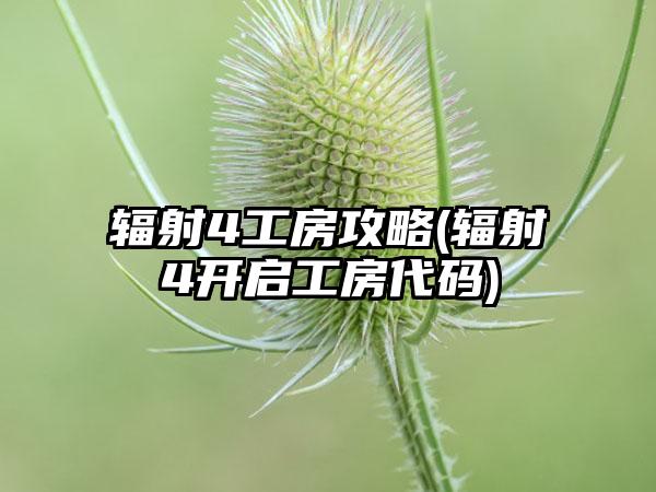 辐射4工房攻略(辐射4开启工房代码)