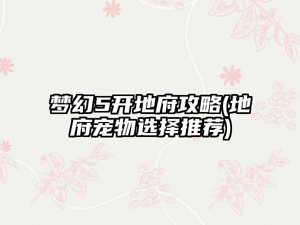 梦幻5开地府攻略(地府宠物选择推荐)