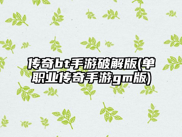 传奇bt手游破解版(单职业传奇手游gm版)