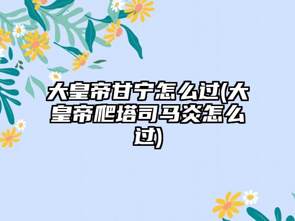 大皇帝甘宁怎么过(大皇帝爬塔司马炎怎么过)