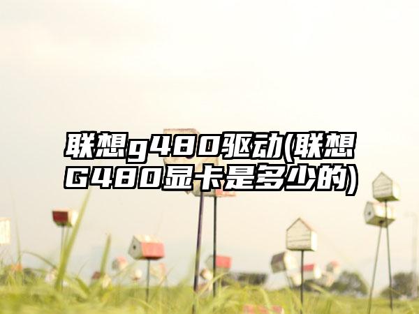 联想g480驱动(联想G480显卡是多少的)