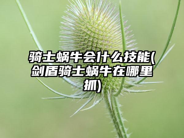 骑士蜗牛会什么技能(剑盾骑士蜗牛在哪里抓)