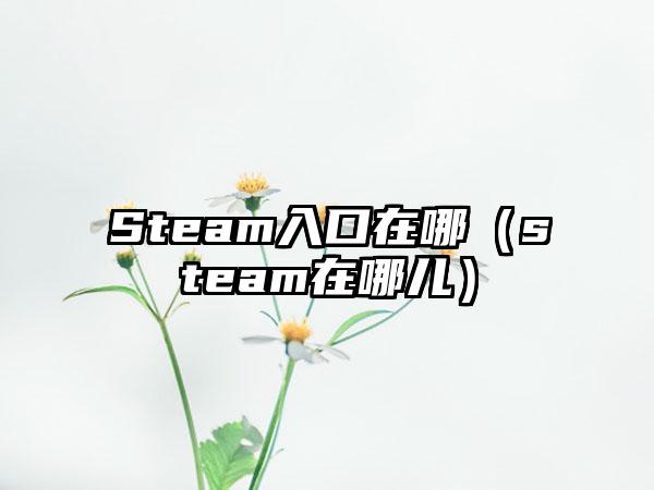Steam入口在哪（steam在哪儿）