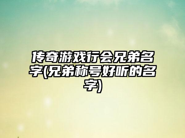 传奇游戏行会兄弟名字(兄弟称号好听的名字)