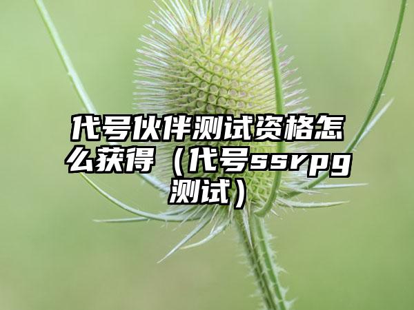 代号伙伴测试资格怎么获得（代号ssrpg测试）
