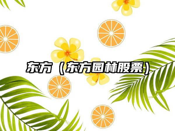 东方（东方园林股票）