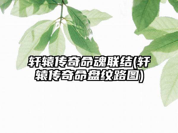 轩辕传奇命魂联结(轩辕传奇命盘纹路图)