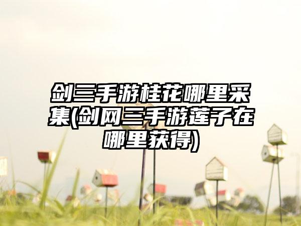 剑三手游桂花哪里采集(剑网三手游莲子在哪里获得)