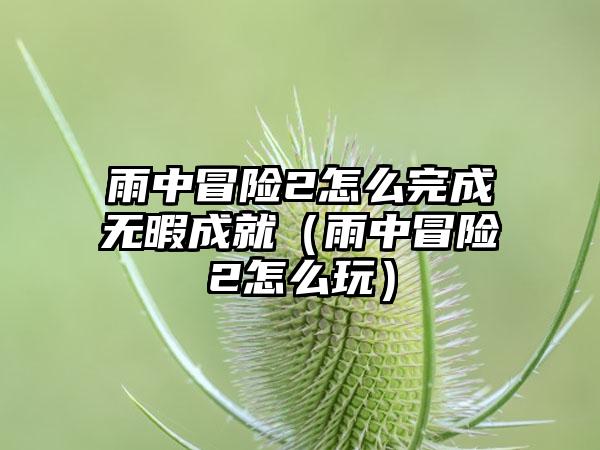 雨中冒险2怎么完成无暇成就（雨中冒险2怎么玩）