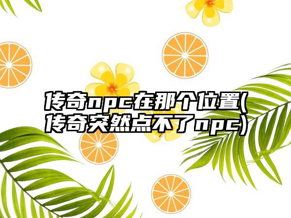 传奇npc在那个位置(传奇突然点不了npc)