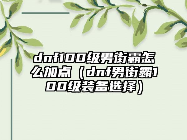 dnf100级男街霸怎么加点（dnf男街霸100级装备选择）