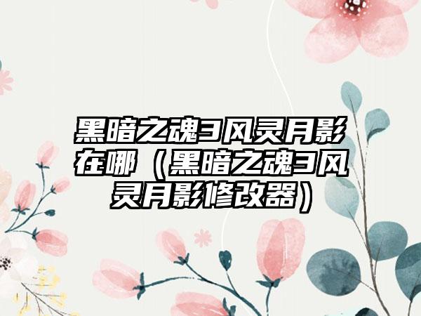 黑暗之魂3风灵月影在哪（黑暗之魂3风灵月影修改器）