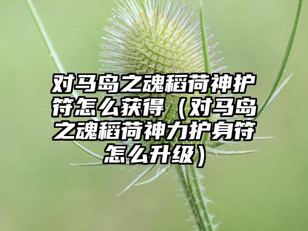 对马岛之魂稻荷神护符怎么获得（对马岛之魂稻荷神力护身符怎么升级）