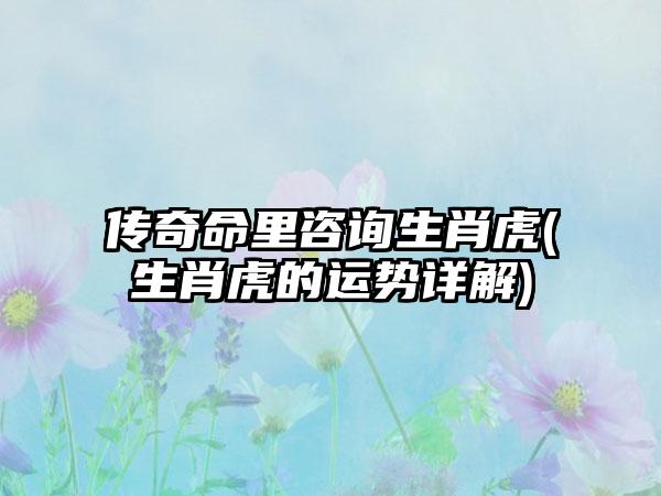 传奇命里咨询生肖虎(生肖虎的运势详解)