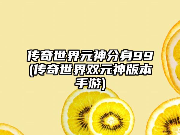 传奇世界元神分身99(传奇世界双元神版本手游)