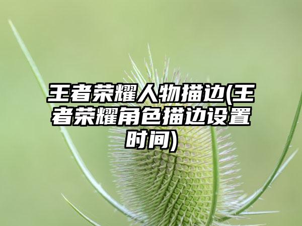 王者荣耀人物描边(王者荣耀角色描边设置时间)