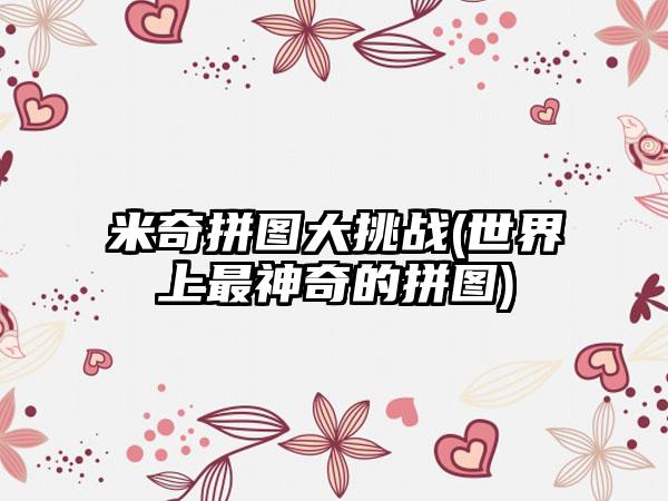 米奇拼图大挑战(世界上最神奇的拼图)