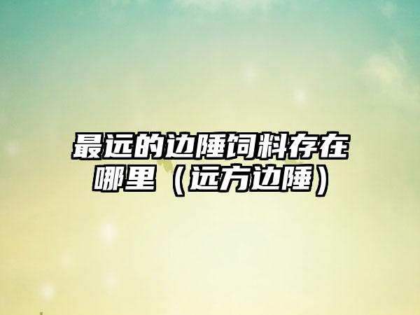 最远的边陲饲料存在哪里（远方边陲）