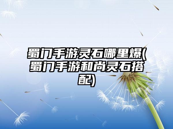 蜀门手游灵石哪里爆(蜀门手游和尚灵石搭配)