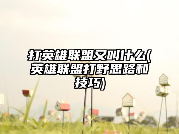 打英雄联盟又叫什么(英雄联盟打野思路和技巧)