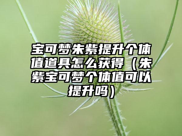 宝可梦朱紫提升个体值道具怎么获得（朱紫宝可梦个体值可以提升吗）