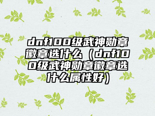dnf100级武神勋章徽章选什么（dnf100级武神勋章徽章选什么属性好）