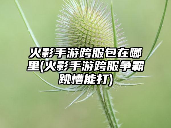 火影手游跨服包在哪里(火影手游跨服争霸跳槽能打)
