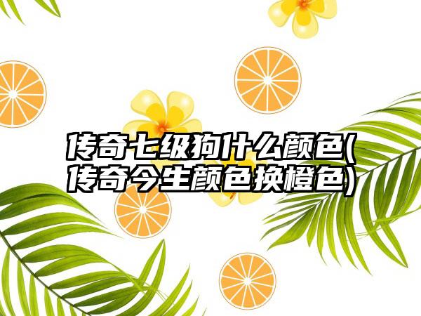 传奇七级狗什么颜色(传奇今生颜色换橙色)