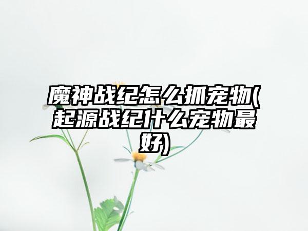 魔神战纪怎么抓宠物(起源战纪什么宠物最好)