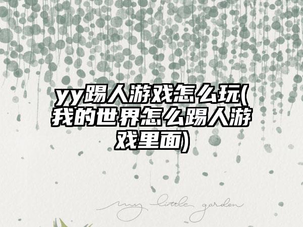 yy踢人游戏怎么玩(我的世界怎么踢人游戏里面)