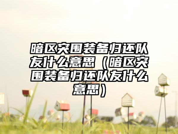 暗区突围装备归还队友什么意思（暗区突围装备归还队友什么意思）