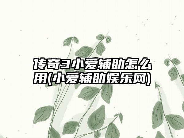 传奇3小爱辅助怎么用(小爱辅助娱乐网)