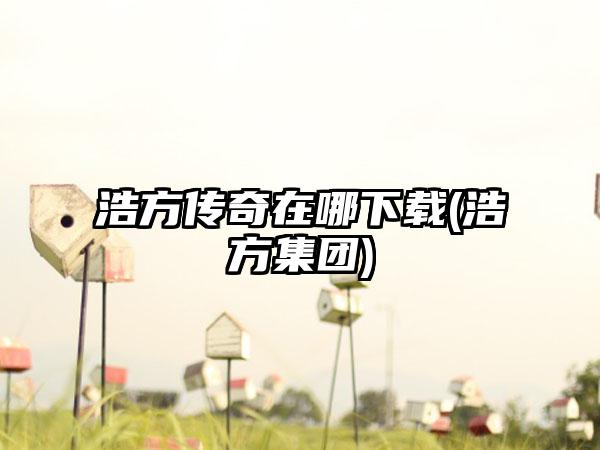 浩方传奇在哪下载(浩方集团)