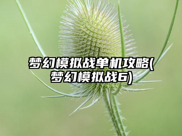 梦幻模拟战单机攻略(梦幻模拟战6)