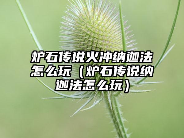 炉石传说火冲纳迦法怎么玩（炉石传说纳迦法怎么玩）