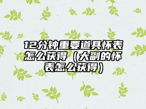 12分钟重要道具怀表怎么获得（大副的怀表怎么获得）