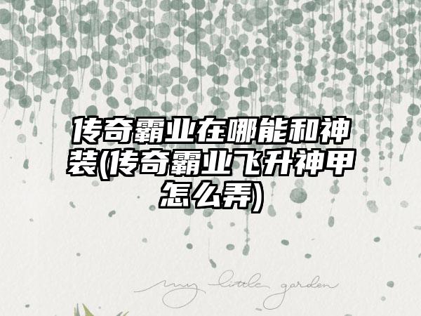 传奇霸业在哪能和神装(传奇霸业飞升神甲怎么弄)