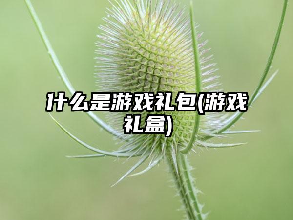 什么是游戏礼包(游戏礼盒)