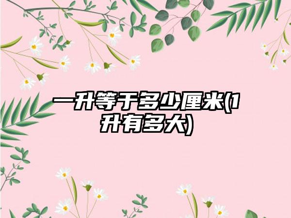 一升等于多少厘米(1升有多大)