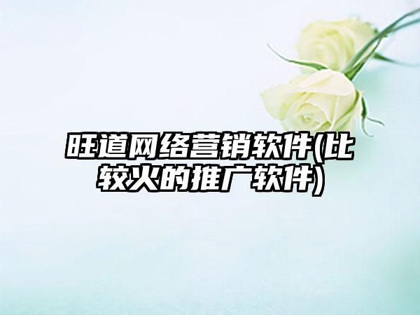 旺道网络营销软件(比较火的推广软件)
