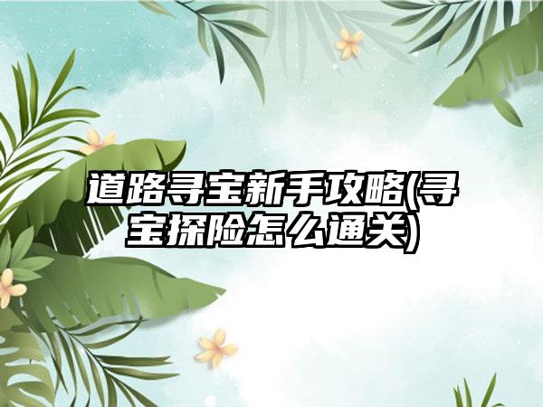 道路寻宝新手攻略(寻宝探险怎么通关)