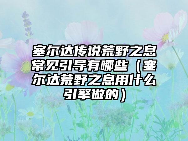 塞尔达传说荒野之息常见引导有哪些（塞尔达荒野之息用什么引擎做的）