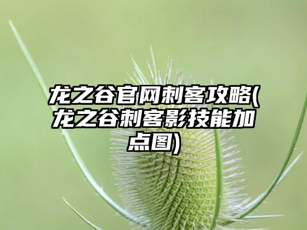 龙之谷官网刺客攻略(龙之谷刺客影技能加点图)