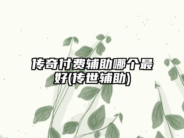 传奇付费辅助哪个最好(传世辅助)