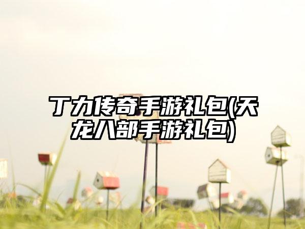 丁力传奇手游礼包(天龙八部手游礼包)