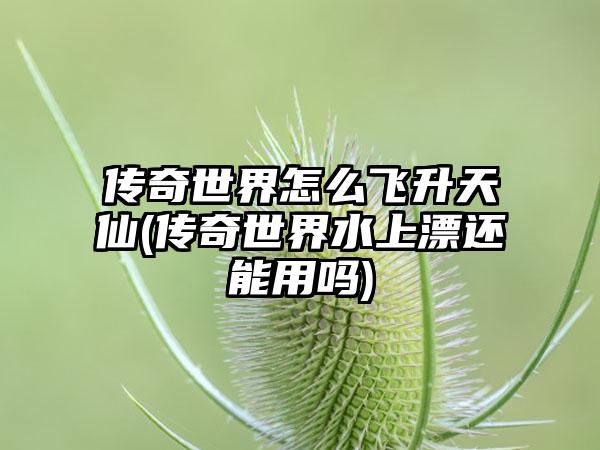 传奇世界怎么飞升天仙(传奇世界水上漂还能用吗)