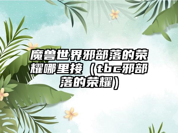 魔兽世界邪部落的荣耀哪里接（tbc邪部落的荣耀）