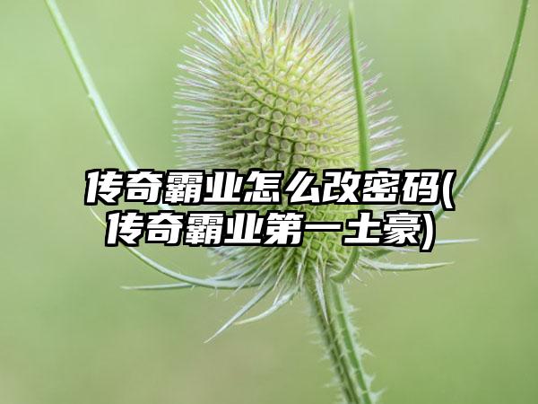 传奇霸业怎么改密码(传奇霸业第一土豪)