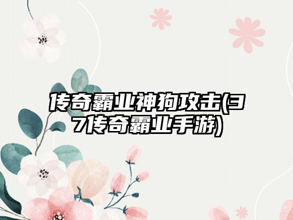 传奇霸业神狗攻击(37传奇霸业手游)